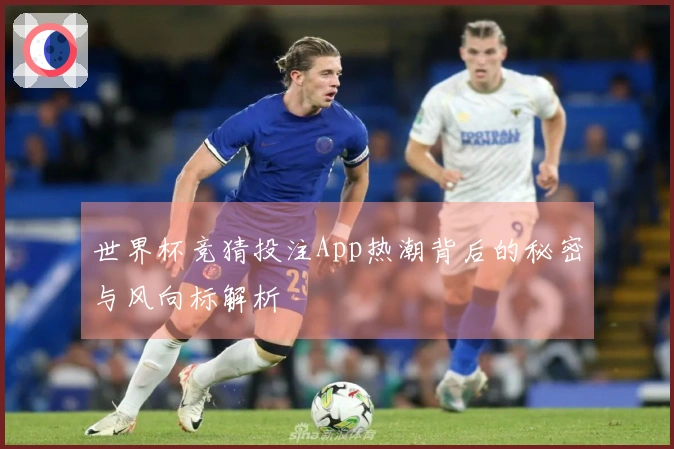 世界杯竞猜投注App热潮背后的秘密与风向标解析