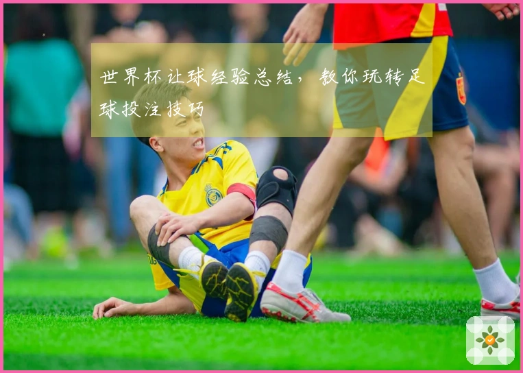 世界杯让球经验总结，教你玩转足球投注技巧