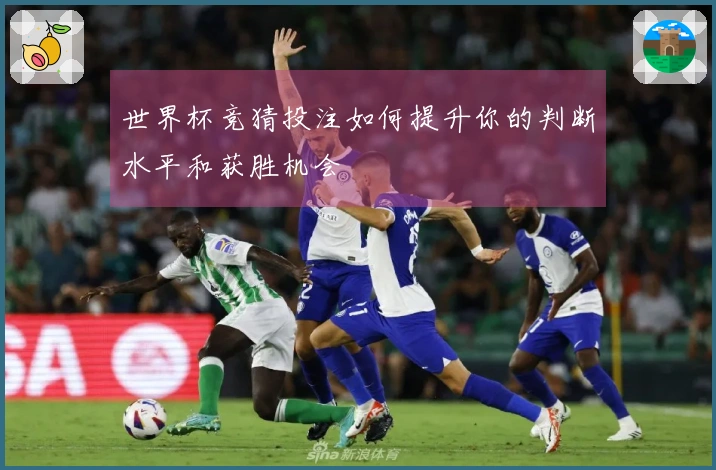 世界杯竞猜投注如何提升你的判断水平和获胜机会
