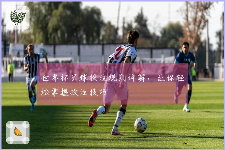 世界杯买球投注规则详解，让你轻松掌握投注技巧